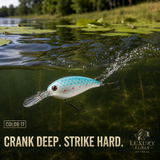 Bent Bill diver Crank Bait
