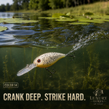 Bent Bill diver Crank Bait