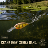 Bent Bill diver Crank Bait