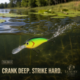 Bent Bill diver Crank Bait