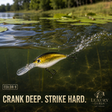 Bent Bill diver Crank Bait