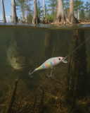 Double Trouble Jerk Bait