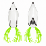 Frog, Glow in Dark