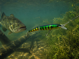 Jointed Jerk Bait
