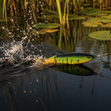 Luxury Paddle Tail