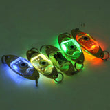 LED fishing lures